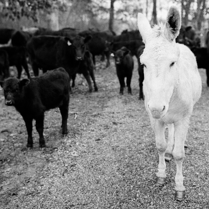 wedding venues, wedding venues near me, banquet hall, 
                                                 cheap wedding venues near me, barn wedding venues near me, outdoor wedding venues near me, small wedding venues near me, 
                                                 outdoor wedding venues, cheap wedding venues, wedding reception venues, outdoor venues near me, barn wedding venues, 
                                                 barn venues near me, reception venues near me, affordable wedding venues, wedding places