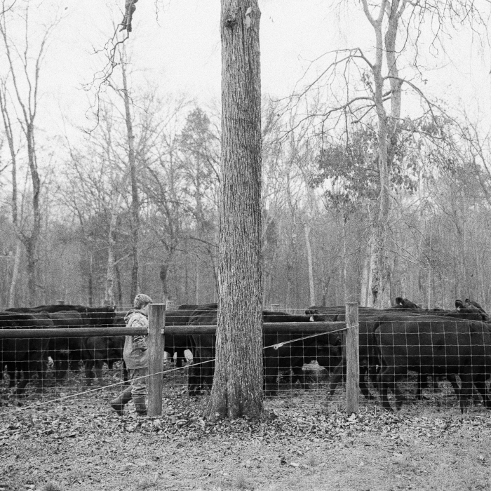 wedding venues, wedding venues near me, banquet hall, 
                                                 cheap wedding venues near me, barn wedding venues near me, outdoor wedding venues near me, small wedding venues near me, 
                                                 outdoor wedding venues, cheap wedding venues, wedding reception venues, outdoor venues near me, barn wedding venues, 
                                                 barn venues near me, reception venues near me, affordable wedding venues, wedding places