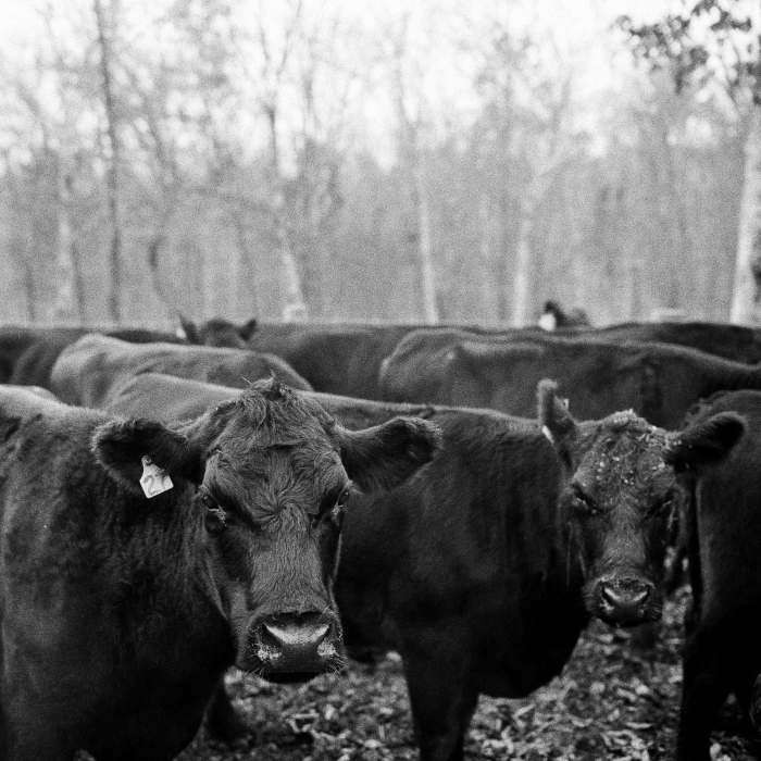 wedding venues, wedding venues near me, banquet hall, 
                                                 cheap wedding venues near me, barn wedding venues near me, outdoor wedding venues near me, small wedding venues near me, 
                                                 outdoor wedding venues, cheap wedding venues, wedding reception venues, outdoor venues near me, barn wedding venues, 
                                                 barn venues near me, reception venues near me, affordable wedding venues, wedding places